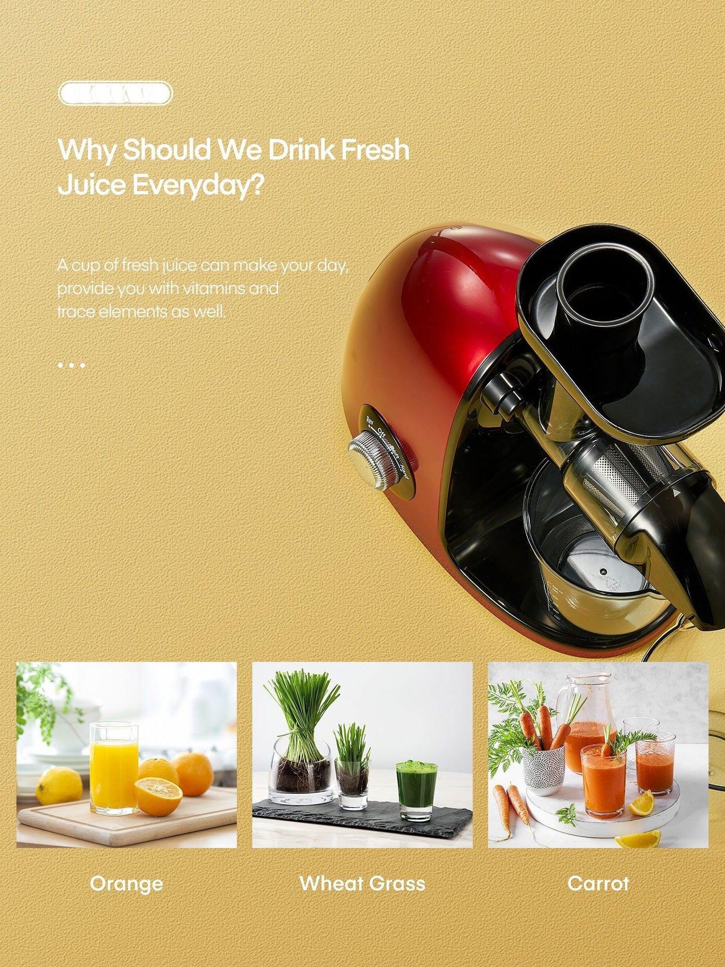 Slow Juicer Easy Clean＆High Juice Yield, Cold Press Juicer Machines with Quiet Motor, 2-Speed Modes＆Reverse Function