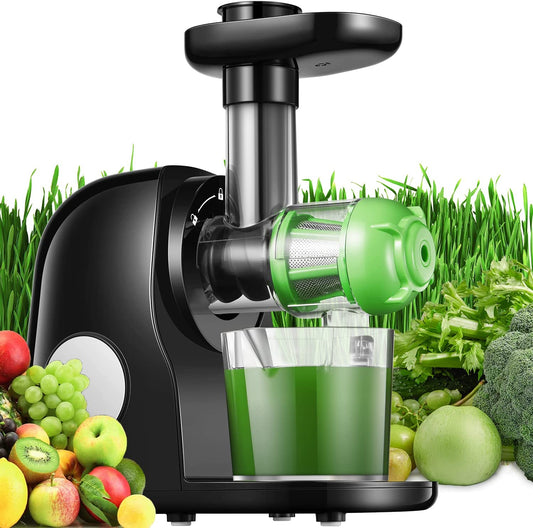 Juicer Machines, Slow Masticating Juicer with Higher Juice Yield and Drier Pulp For Vegetables and Fruits