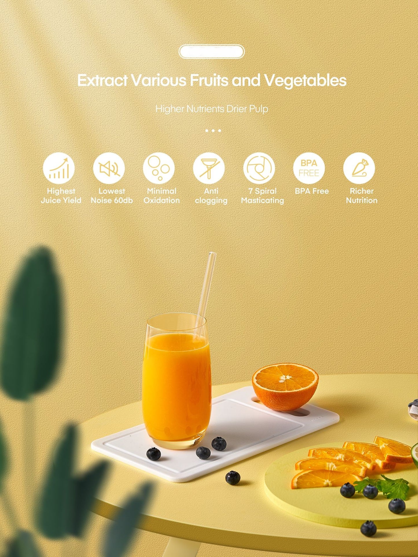 Slow Juicer Easy Clean＆High Juice Yield, Cold Press Juicer Machines with Quiet Motor, 2-Speed Modes＆Reverse Function